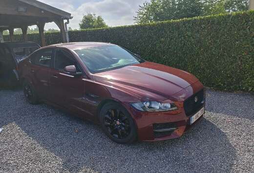 Jaguar XF E-Performance Aut. R-Sport