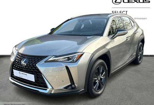 Lexus Bussiness Line