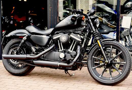 ***MOTO VERTE***