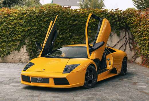 Lamborghini Giallo Orion/ MANUAL/ NEW PAINT/ Mint con ...
