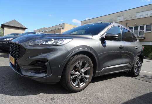 Ford 1.5 ST-LINE X 150CV