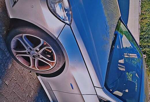 Mercedes-Benz Classe E Break 200 CDI BlueEFFICIENCY A ...