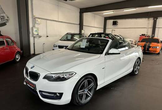 BMW Cabriolet/ 2015 / eu6b / 85.000km / carnet..