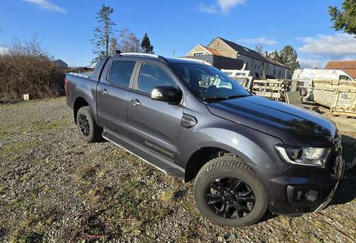 Ford 2.0 BiT EcoBlue Wildtrak (EU6.2)