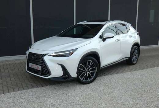 Lexus *Plug-in* AWD Privilege Line +Open dak +2e SET  ...