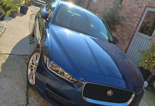 Jaguar XE 20d Portfolio