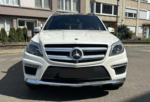 Mercedes-Benz AMG Line 4MATIC (2014) 7 Zitplaatsen De ...