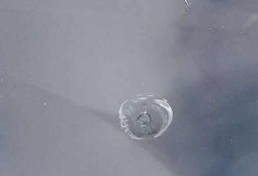 Opel 1.0 12 V Edition