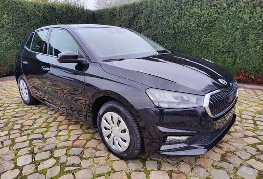 Skoda Fabia 1.0 TSI Clever Parkeer Camera