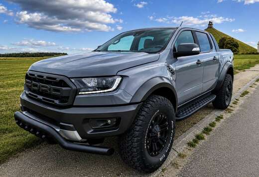 Ford 2.0 BiT EcoBlue Raptor (EU6.2)