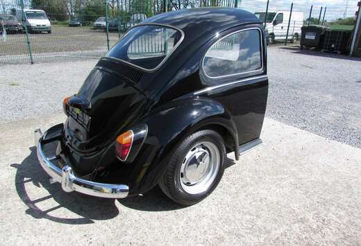 Oldtimer ARRIERE COCCINELLE ANNEE +-  70 .3650€
