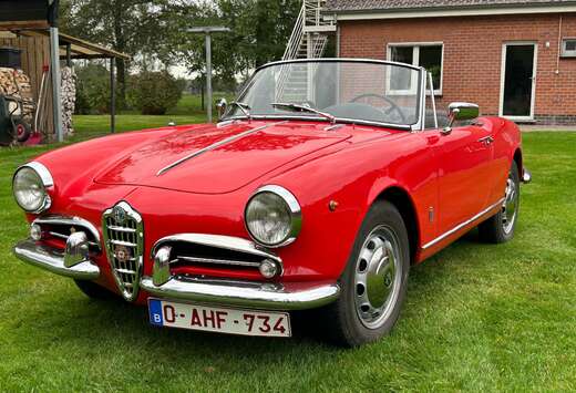 Alfa Romeo Spider Cabrio