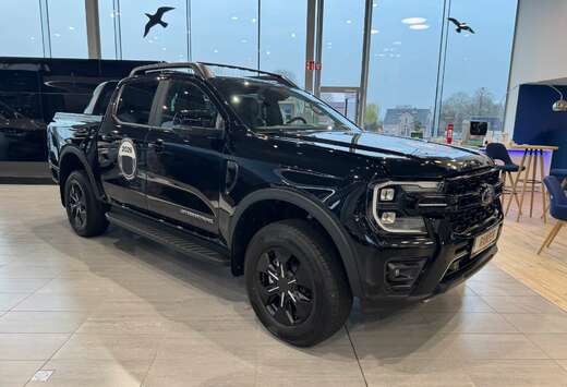 Ford Stormtrak Double Cab 2.3 PHEV 281PK A104wd