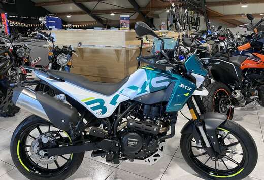 BKX 300 S