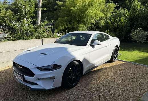 Ford Mustang 2.3 EcoBoost (EU6.2)