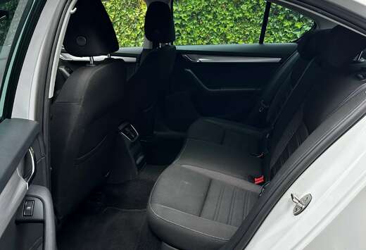 Skoda 1.6 CR TDi Ambition (EU6.2)