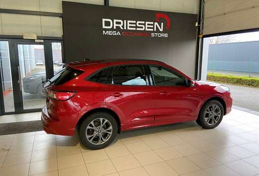 Ford PHEV st-line x bij Driesen Bree