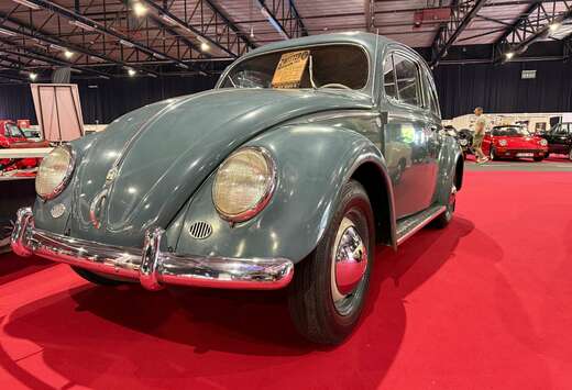 Volkswagen Switter