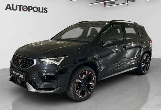 2.0 TSI VZ 221kW DSG 4WD