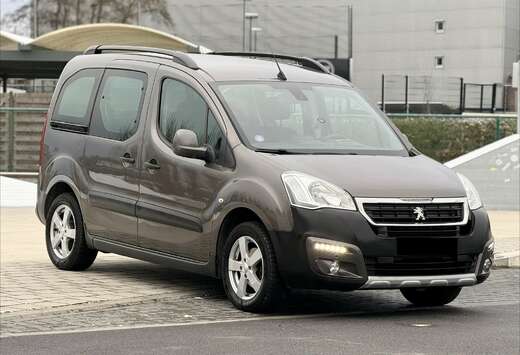 Peugeot Tepee