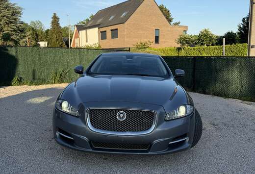 Jaguar LWB 3.0D V6 Premium Luxury
