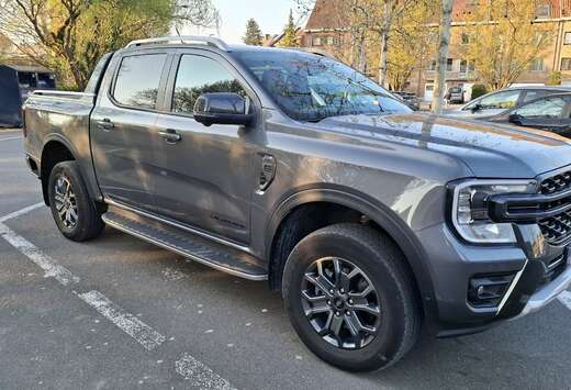 Ford 2.0 EcoBlue e-4WD Wildtrak