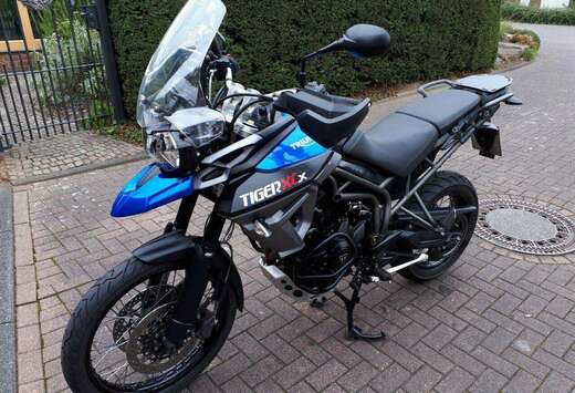 Triumph