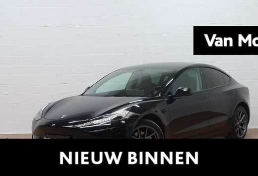 Tesla Standard RWD Plus