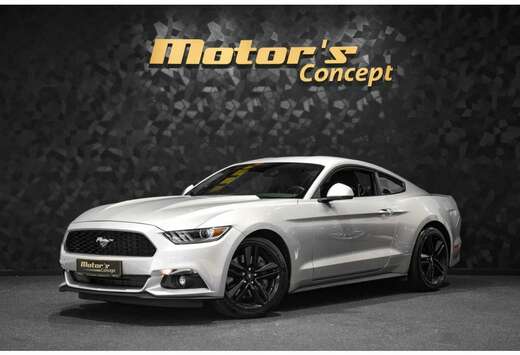 Ford 2.3 Fastback