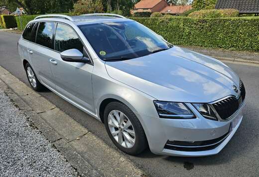 Skoda SW 2.0 CR TDi Style DSG (EU6.2)