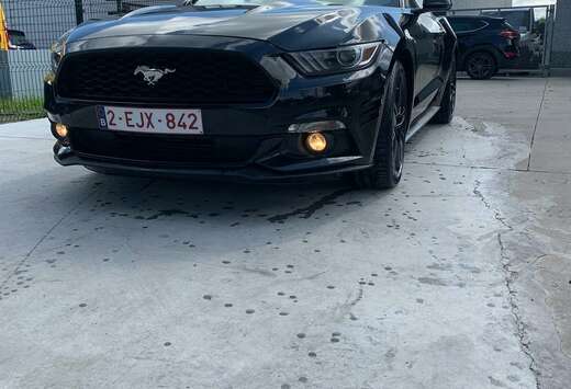 Ford 2.3 Eco Boost