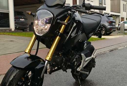 Honda Arrow exhaust