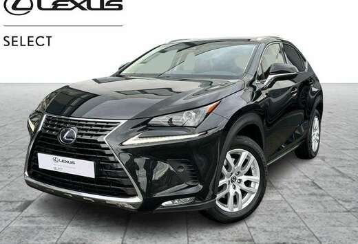 Lexus Executive Line