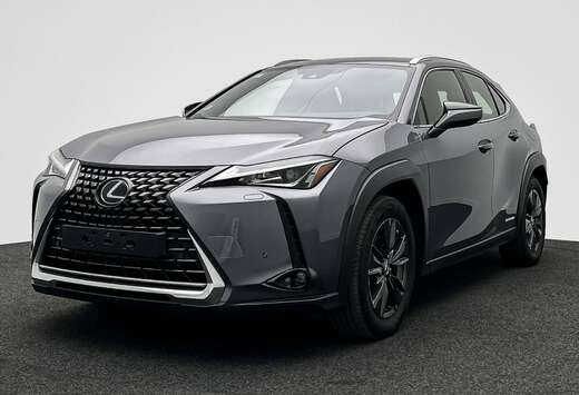 Lexus UX 250h 2.0i FWD Business Line Plus