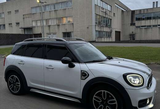 MINI S