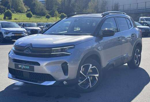 Citroen Shine