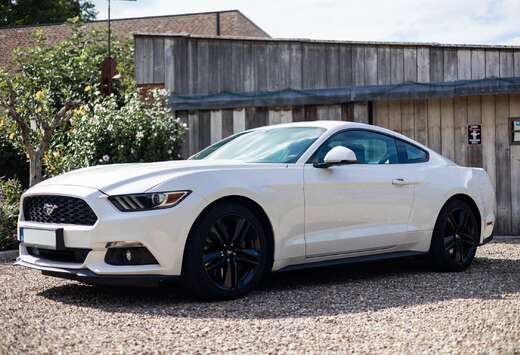 Ford 2.3 Eco Boost