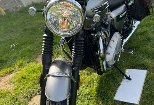 Triumph Gold Line