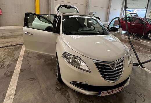 Lancia Ypsilon 1.2i Fire Evo II Gold