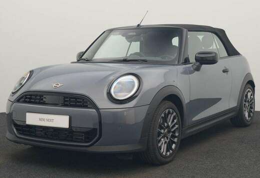 MINI Classic Trim