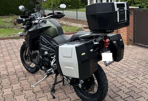 Triumph XC