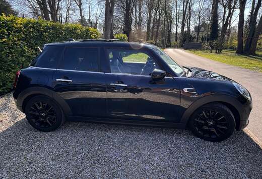 MINI Mini 1.5A Cooper OPF (EU6d-TEMP)