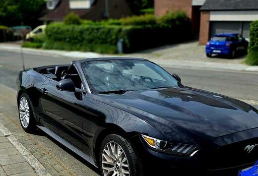 Ford Convertible 2.3 EcoBoost