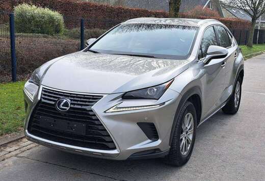 Lexus NX 300h 2.5i AWD Business Edition  E-CVT (EU6.2 ...