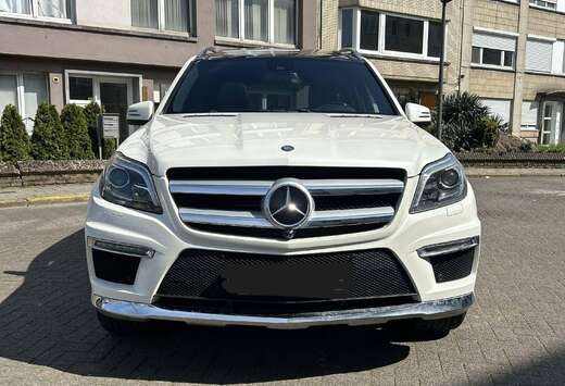 Mercedes-Benz AMG Line 4MATIC (2014) 7 Zitplaatsen De ...