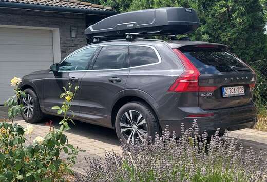 Volvo 2.0+B4+MHEV+Momentum+Pro+ GOOGLE SYSTEM - NW MO ...