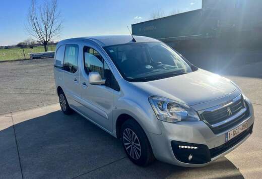 Peugeot 1.6 BlueHDi L2H1 Premium Pack 121 S/S