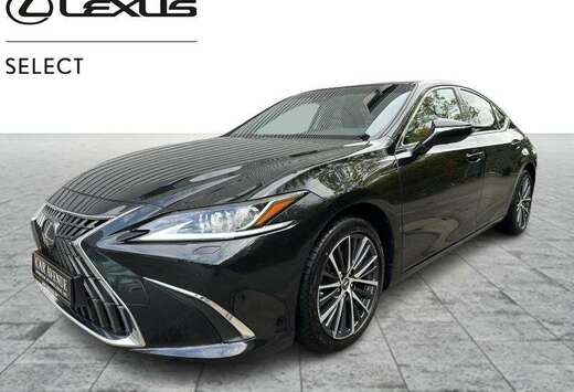 Lexus Executive Line