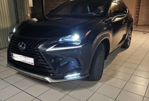 Lexus NX 300h 2.5i AWD Black Line E-CVT (EU6.2)