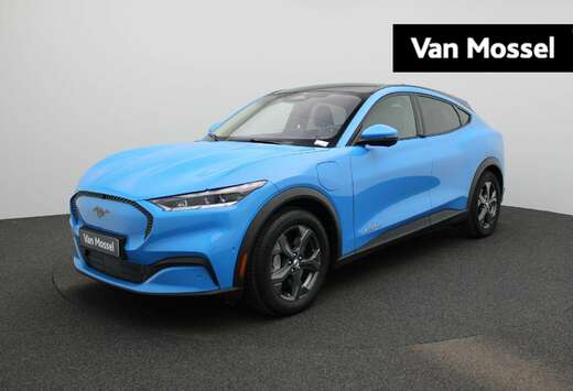 Ford Standard Range RWD 76 kWh  198kW